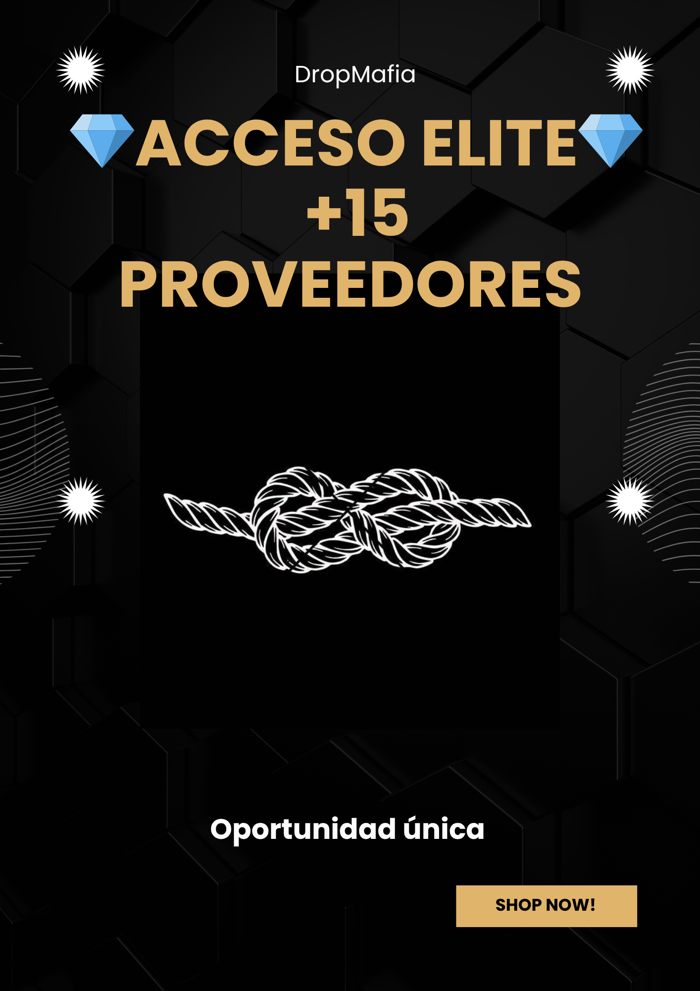 Acceso VIP a +15 Proveedores Reales— DropMafia Edition